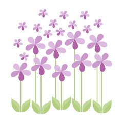 Isolated floral design, pink flowers, greeting card