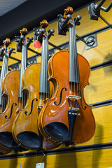 Violin aka fiddle in music store