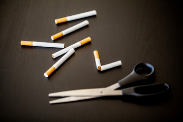 Stop smoking concept on background with broken cigarettes. Heap of cigarettes. No smoking