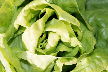 Ein Salatkopf fotografiert in Makro und Nahaufnahme