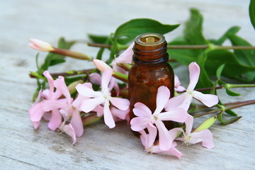 huile essentielle de giroflée,sur fond bois