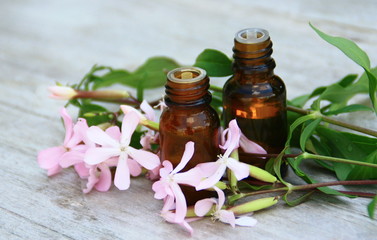 huile essentielle de giroflée,sur fond bois