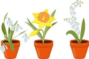 Spring flowers growing in the pods. raster Illustration.