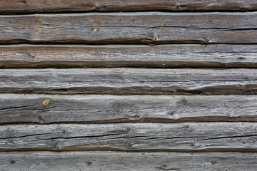 wooden gray frame texture of old house with burrow eaten bark beetle