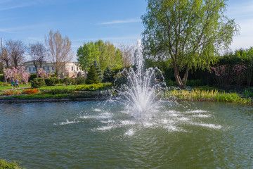 Naklejka premium Fountain with clear water hitting in the middle of the pond on the background of people walking along the path and flowering trees.