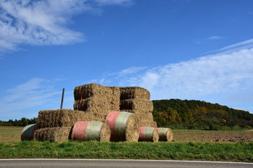 Heuskulptur in Mauren, Kreis Böblingen