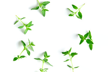 Thyme fresh herb background with copy space.