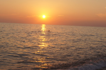 Obraz premium SONY DSC