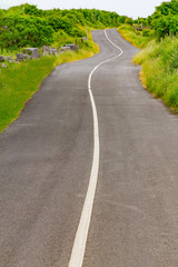 Road with curves, plants and rock wall