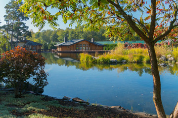 a lake with a bush and acacia in the foreground on a clear day