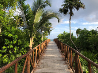 View of bridge to beach with palm trees . 