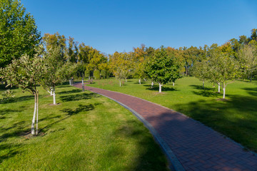A dodgy promenade park road against the backdrop of a beautiful green area with a variety of plants