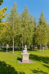 Beautiful statue in the form of a sitting woman standing on a green lawn with fallen leaves against a background of slender birches and a blue clear sky.