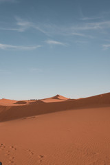 Fototapeta na wymiar Sahara sand dune 2