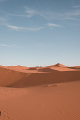 Fototapeta na wymiar Sahara desert dune 3