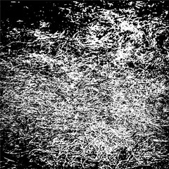 The abstract scratched background. Black and white vector texture template.White noise.