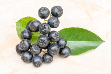 Ripe juicy Chokeberry or Aronia melanocarpa on ceramic background. Organic and vegetarian food full of vitamin and antioxidant.