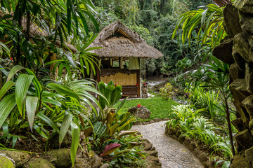 Exotic jungle cottage in the rain forest