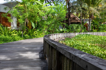 Curved wooden pathway surrounding by green trees