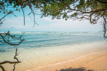 A tropical beach with crystal cler water in a frame of trees without any people