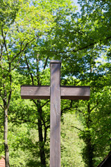 Wooden crosses in a woodland cemetery