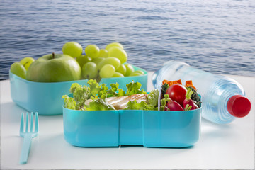 Lunch box with a useful and tasty meal. Grilled chicken, vegetables, green apple, grapes and a bottle of water. Background blue sea. The concept of a healthy lifestyle. Lunch at the seashore.