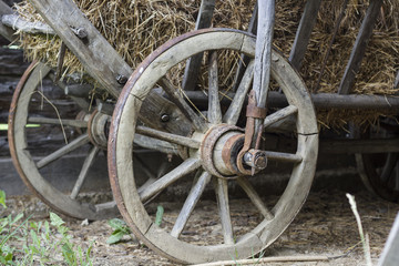 Fototapeta na wymiar Wood Wheels