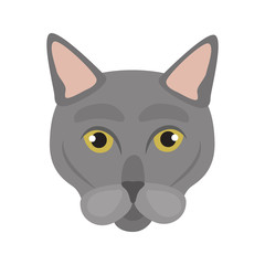 Russia blue breed cat muzzle color vector icon