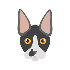 Fototapeta premium Devon Rex breed cat muzzle color vector icon