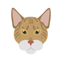 Savannah breed cat muzzle color vector icon