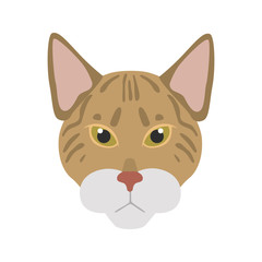 Savannah breed cat muzzle color vector icon