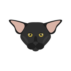 Oriental breed cat muzzle color vector icon