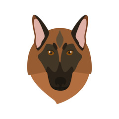 Shepherd breed dog muzzle color vector icon