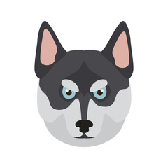 Husky breed dog muzzle color vector icon