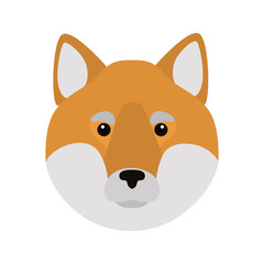 Aki inu breed dog muzzle color vector icon