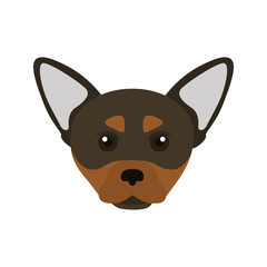 Toy terrier breed dog muzzle color vector icon