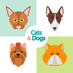 Different cats and dogs breeds muzzles color vector icons set. Flat design