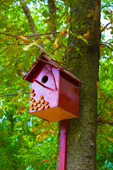 birdhouse on the tree