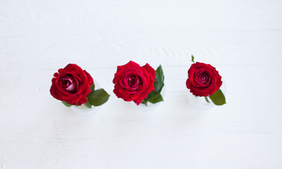 Three beautiful red roses in white vases on the white background