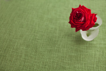 Red rose isolated on green background. Dinner table with vase.