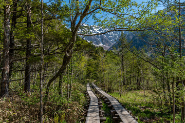 Obraz premium View of Kamikochi