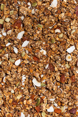homemade granola with nuts close-up, vertical