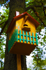 birdhouse on the tree