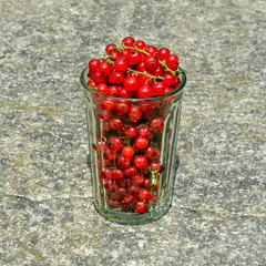 Harvesting. A glass of currant. Sale of fruits and berries.