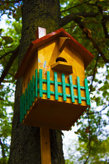 birdhouse on the tree