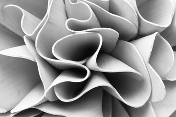 Abstract lines