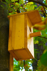 birdhouse on the tree