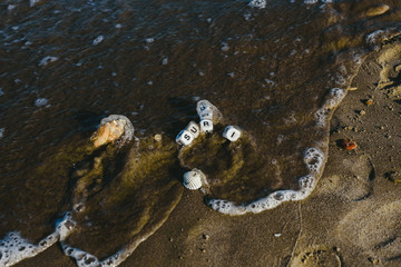 Summer concept made with dice with letters on the wet sand of a beach and marine motives.