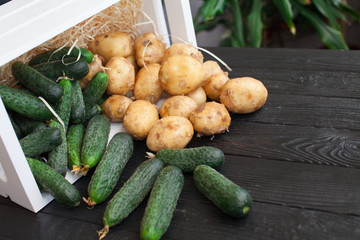 Fresh vegetables in wooden box. Cucumber in the market.