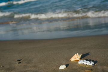 love concept made with dice with letters on the wet sand of a beach and marine motives.